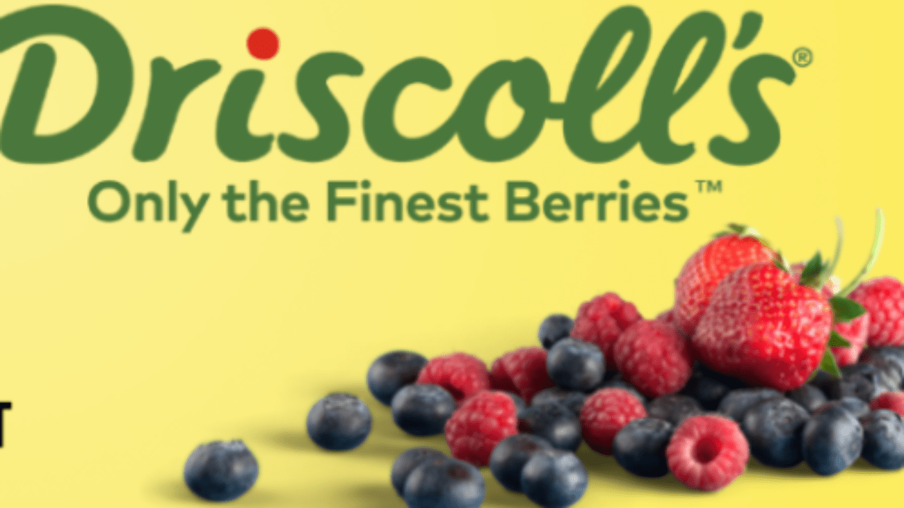 Driscolls logo
