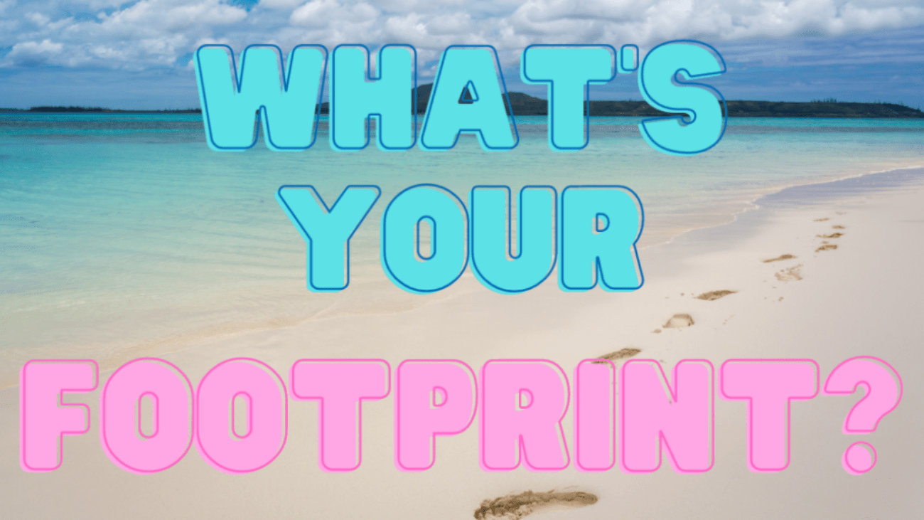 Blog header reading, "What's your footprint" over background of footprints on a beach