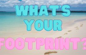 Blog header reading, "What's your footprint" over background of footprints on a beach