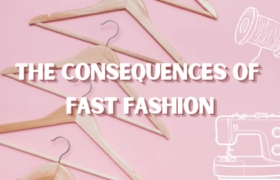 Blog header reading, 'The Consequences of Fast Fashion' over a pink background with clothes hangers and sewing machine