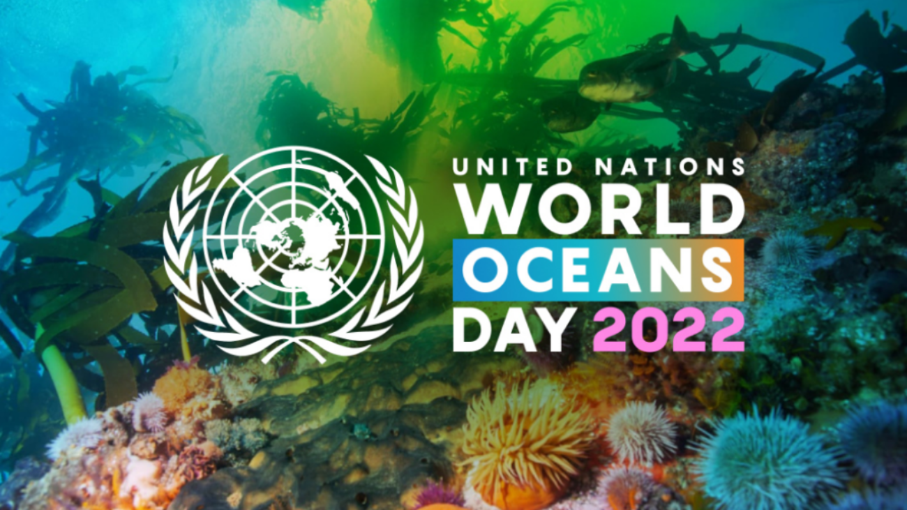 Underwater image of corals and reefs promoting the United Nations' World Oceans Day 2022.