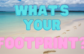 Blog header reading, "What's your footprint" over background of footprints on a beach