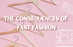 Blog header reading, 'The Consequences of Fast Fashion' over a pink background with clothes hangers and sewing machine