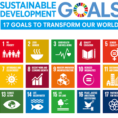 Sustainable Development Goals infographic