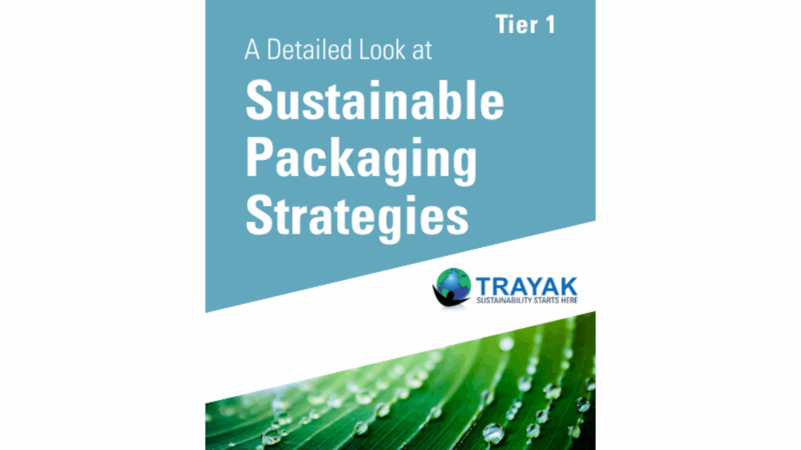 Tier 123 Whitepaper (800 x 504 px)