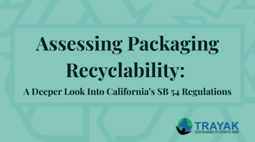 Recyclability Blog (1)