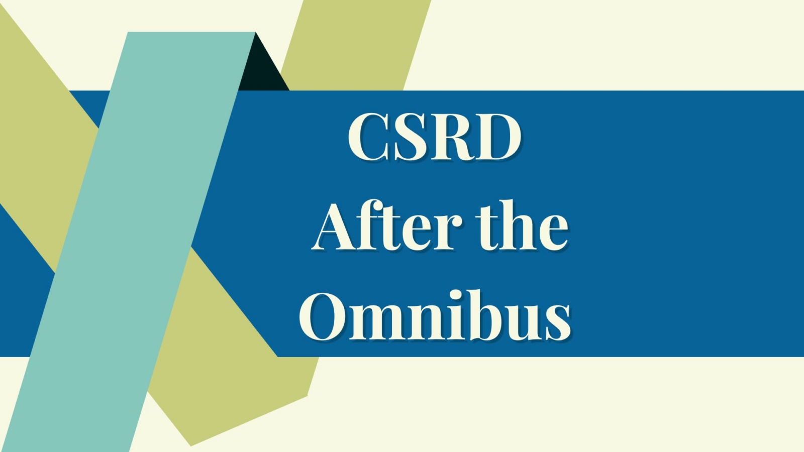 CSRD After the Omnibus