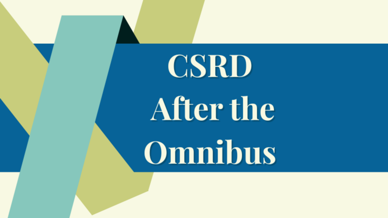 CSRD After the Omnibus