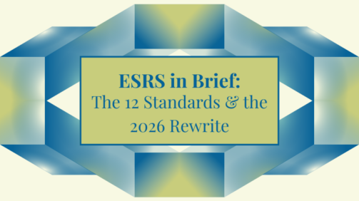 ESRS in Brief: The 12 Standards & the 2026 Rewrite