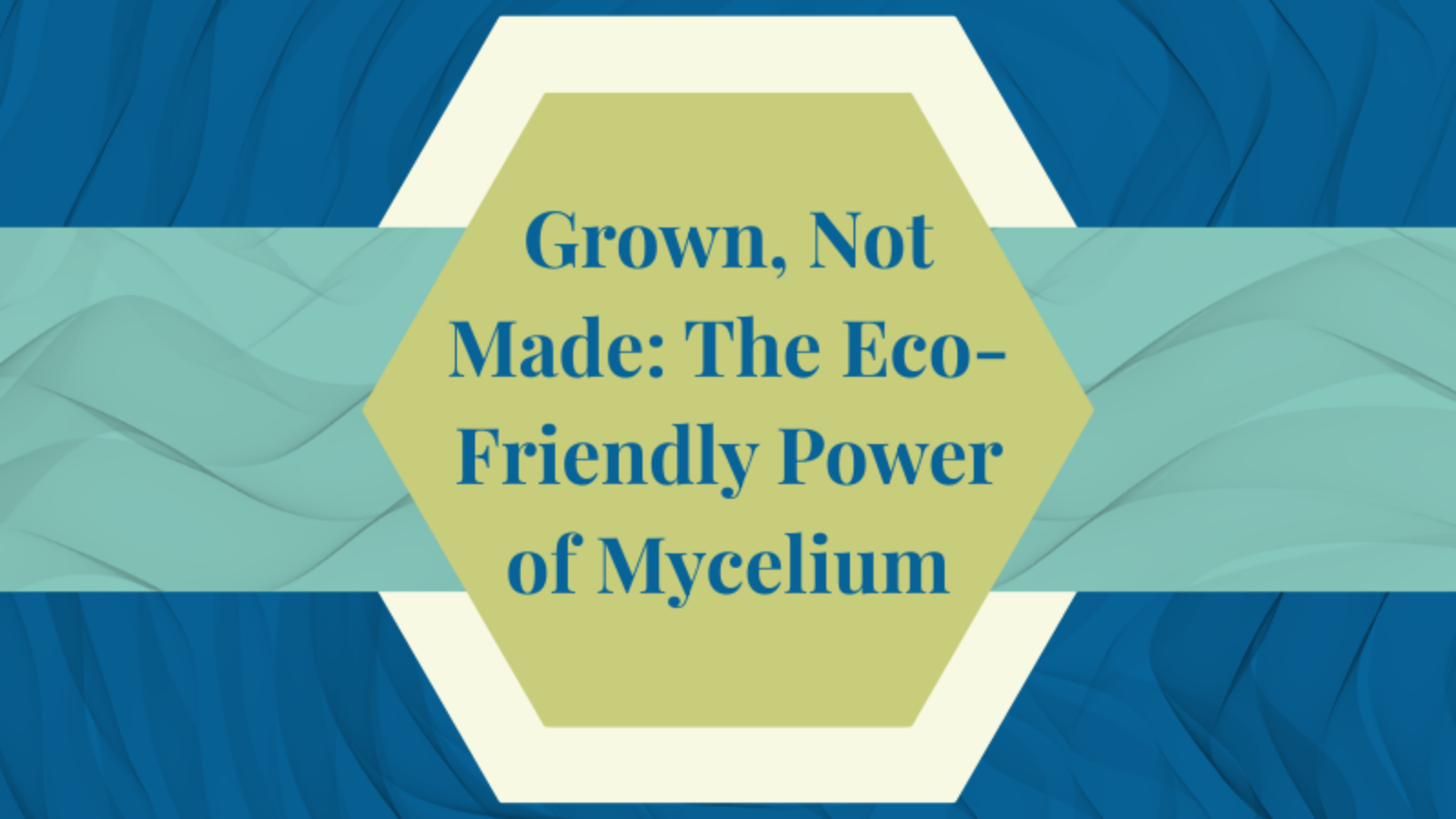 Mycelium Mushrooms