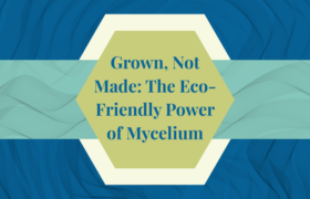 Mycelium Mushrooms