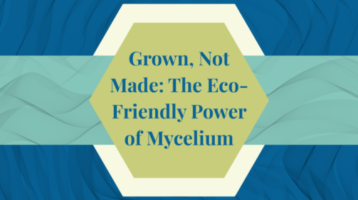 Mycelium Mushrooms