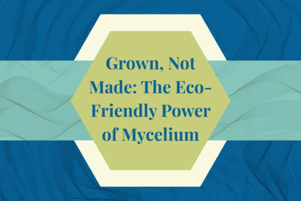 Mycelium Mushrooms