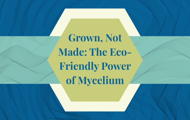 Mycelium Mushrooms