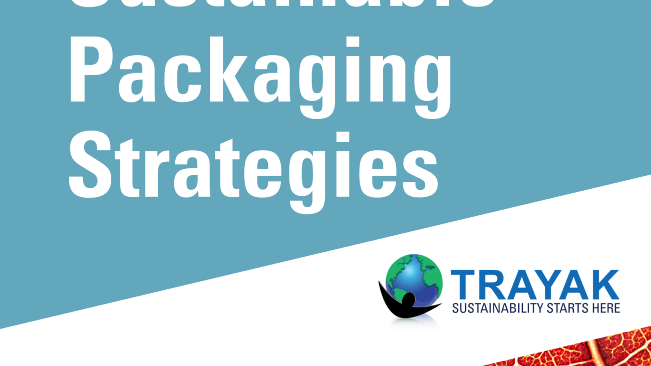 A Detailed Look at Sustainable Packaging Strategies 2